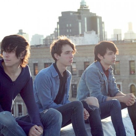 BEACH FOSSILS