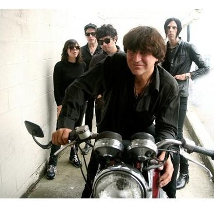 Chameleons_Vox