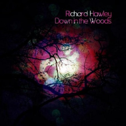 Richard Hawley