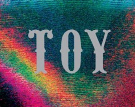 Toy