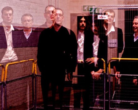 the nightingales