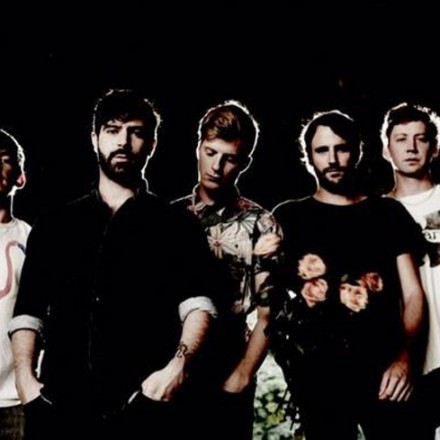 foals