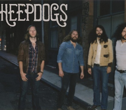the sheepdogs