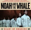  NEWS: NOAH AND THE WHALE - TAPE DROP TREASURE HUNT!!!! 
