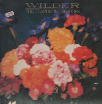 the_teardrop_explodes-wilder(1)