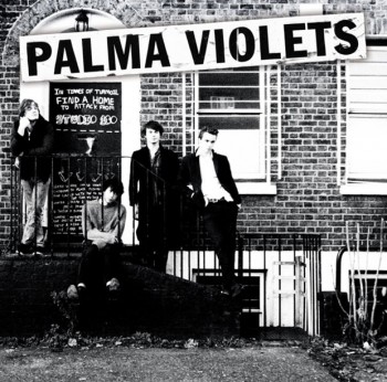 palma violets