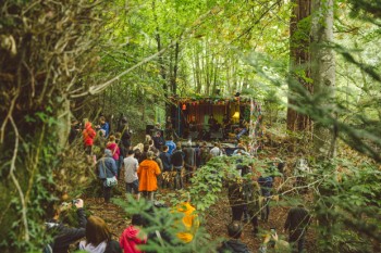 Lost In The Woods Stage