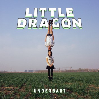 little-dragon-underbart