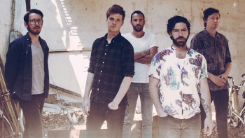 Foals