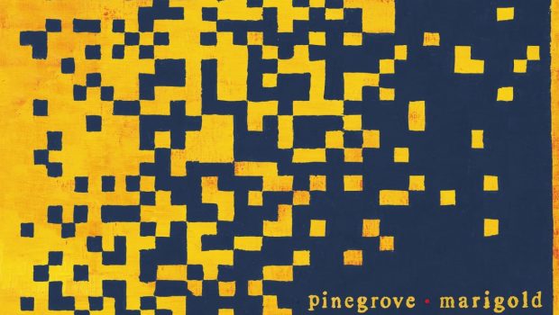 ALBUM REVIEW: PINEGROVE – MARIGOLD