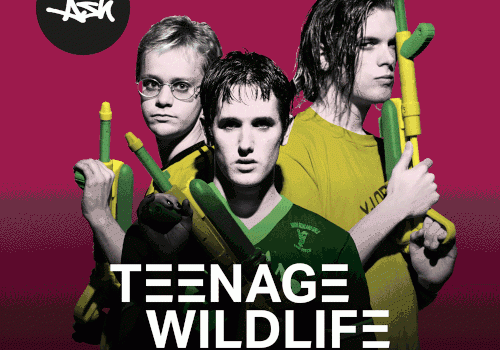 ALBUM REVIEW: ASH – TEENAGE WILDLIFE