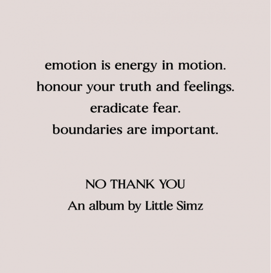 Little-Simz-535x540.png