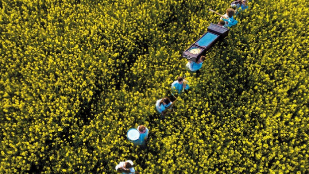 ALBUM REVIEW - PAVEY ARK: MORE TIME, MORE SPEED