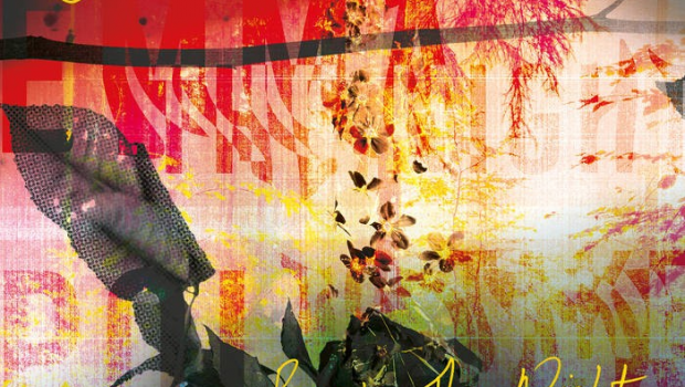 ALBUM REVIEW – EMMA POLLOCK: BEGGING THE NIGHT TO TAKE HOLD