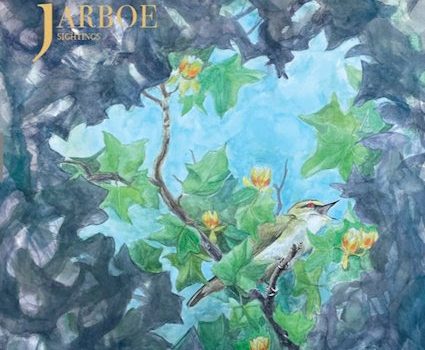 ALBUM REVIEW - JARBOE: SIGHTINGS