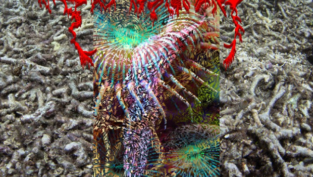 ALBUM REVIEW - GUTTERSNIPE: EXTINCTION BURST!